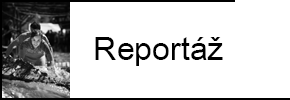 Reportáž
